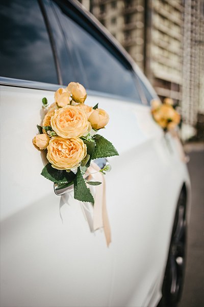 Wedding Transfers